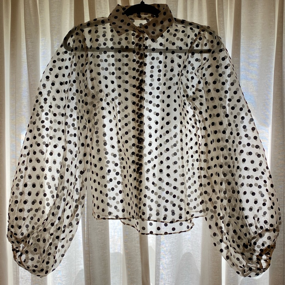 Spot Enough Drama Organza Blouse
